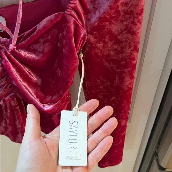 Saylor cedella ruched velvet peplum top - new with tags - Picture 4 of 6